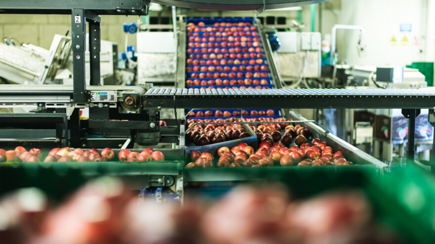 Najveći hrvatski proizvođač i izvoznik svježe jabuke postaje dijelom mađarske grupacije