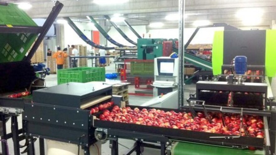 Nešto viša cijena jabuke