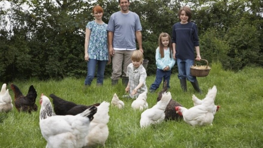 Rakovi skladaju pjesme o poljoprivredi!