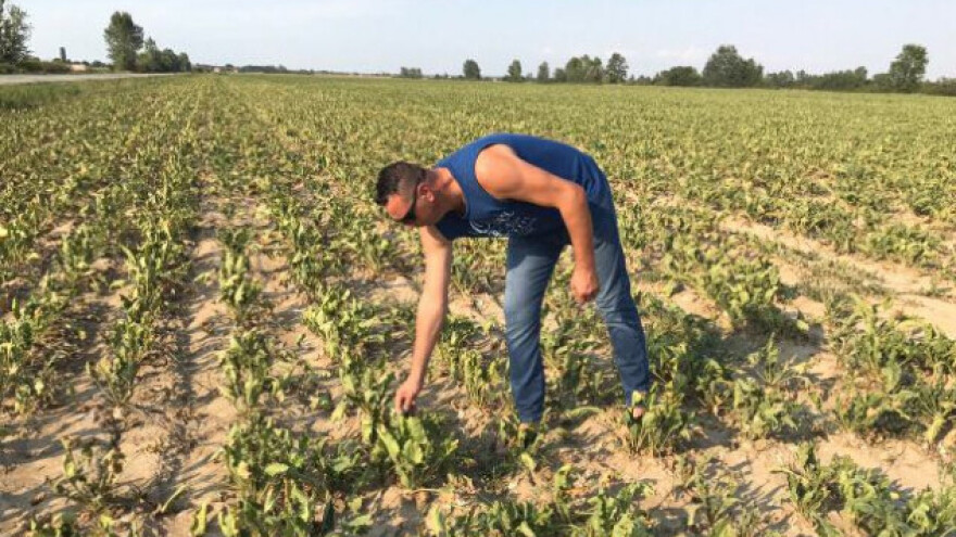 Zašto i nama država ne sanira štetu kao što su opožarenima?