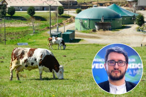 Račun za struju 0 KM: Koliko krava treba za vlastitu elektranu i koliko to košta?