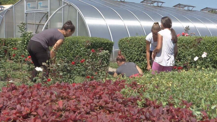Vojvodina daje milion dinara za obrazovanje srednjoškolaca o zadrugarstvu