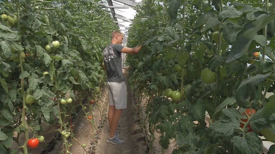 Poljoprivredna škola u Futogu: Praksa jednako važna kao i teorija