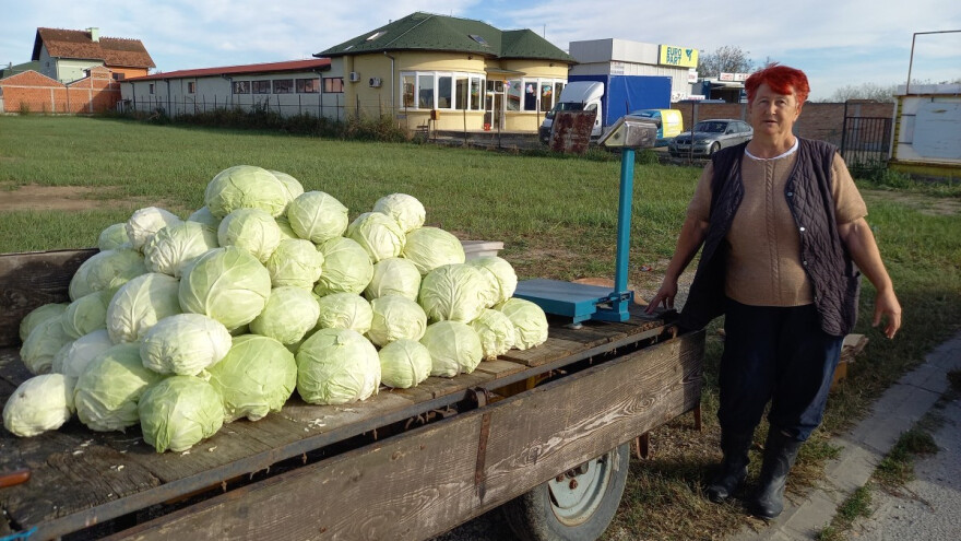 Futoški kupus je stigao, ali mušterija nema?