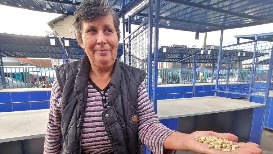 Stari, zaboravljeni pasulj "sumporaš" skuplji i od mesa