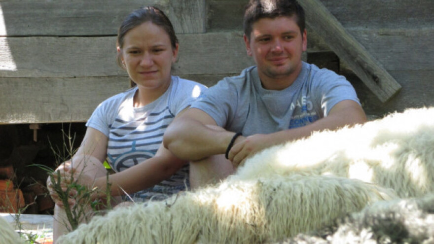 Napuštena imanja i ljubav - ključ za razvoj ovčarstva