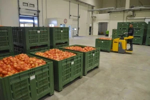 Regionalni distribucijski centar za voće i povrće u Osijeku popunjen preko 70 posto