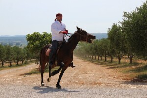 Dalmatinski fenix: Rade Bobanović ponovo "jaše"