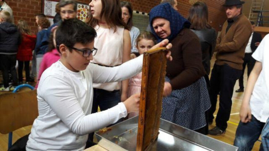 Učenici kroz zadruge proizvode med, sade voćke