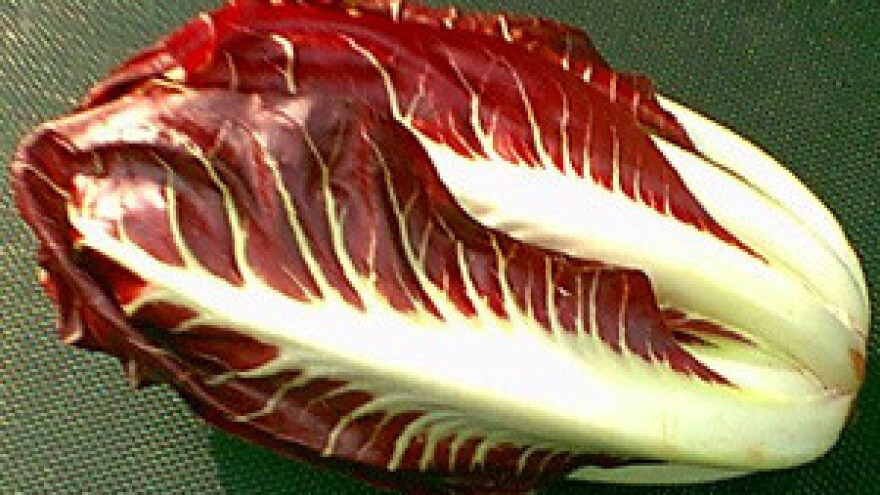 Pospješivanje radiča