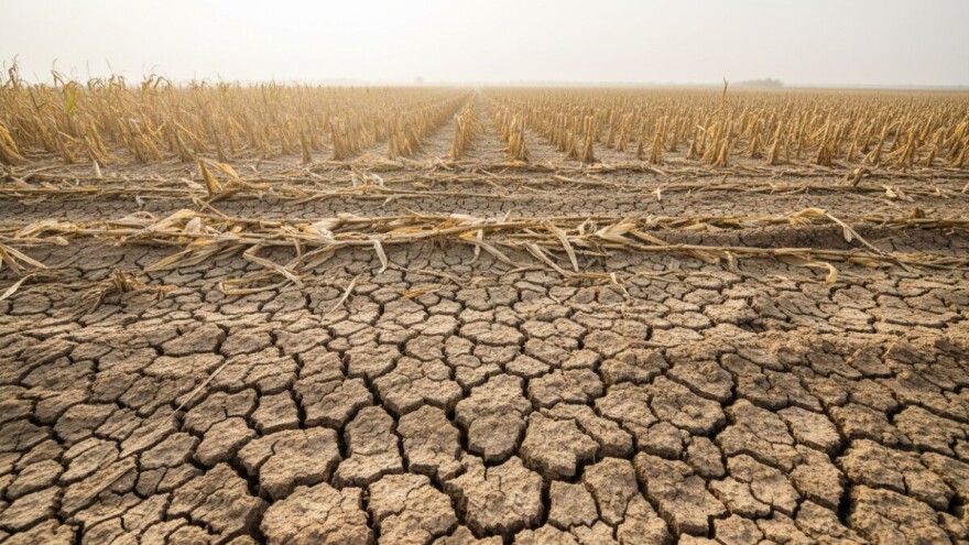 Radionica “Klimatske promjene i poljoprivreda“