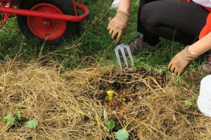 Gdje se trenutno nalazi ekološka poljoprivreda, koje prepreke koče njezin razvoj?