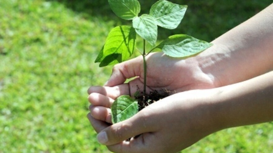 Doprinos poljoprivrede čistom okolišu i zdravoj hrani