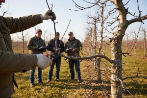 Radionica u sklopu projekta JABUKA.NET 2