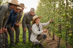 Radionica u sklopu projekta "Jabuka.net 2"