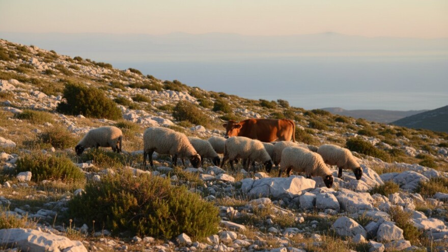 Radionica za uzgajivače autohtonih pasmina
