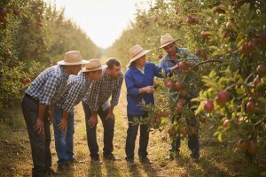 Radionica za voćare na Poljoprivrednom institutu Osijek