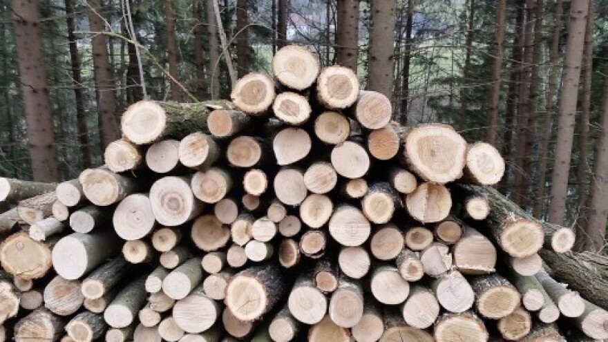 O prodaji trupaca i prostornog drva