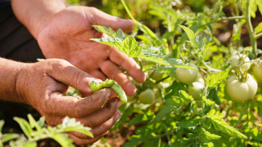 Radionice za tip operacije 3.1.1. u četiri grada