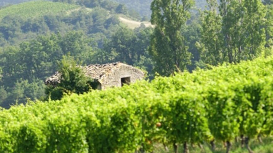 Posjetite stručne radionice za vinare