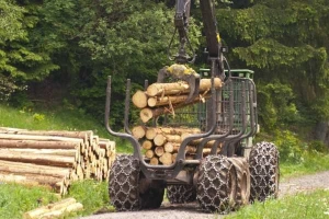 Unapređenje poslovanja šumarskog sektora