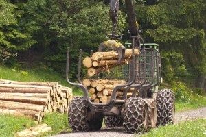 Unapređenje poslovanja šumarskog sektora