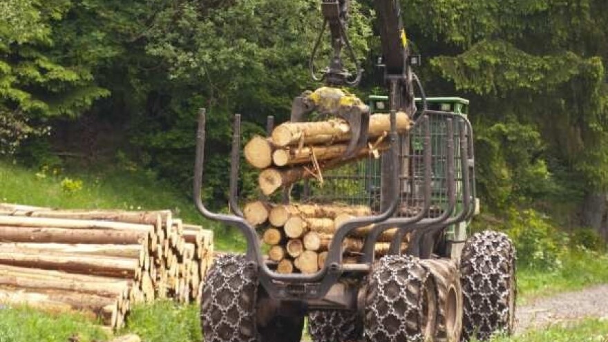 Unapređenje poslovanja šumarskog sektora