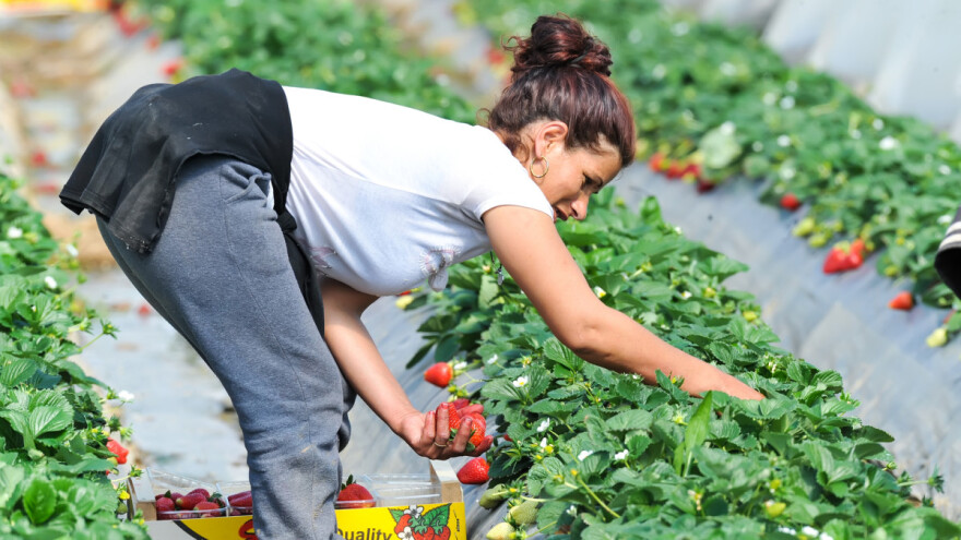 Koliko se radnici u poljoprivredi pitaju za svoj položaj?
