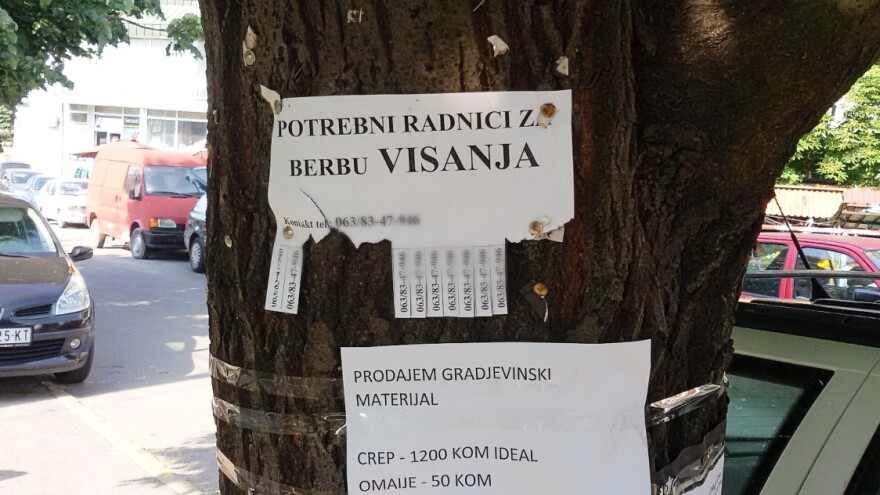 Smanjuje se broj radnika na crno, među sezoncima najviše mladih