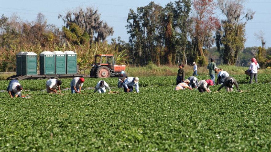 Za agrarne poticaje konkuriraju i kaznionice