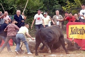 Bikijada u Radošiću