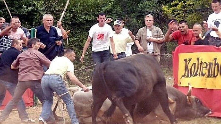 Bikijada u Radošiću