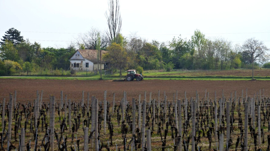 Znate li da i preko LAG-ova možete dobiti novce za svoje projekte?