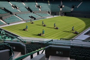 10 zanimljivosti o travi Wimbledona