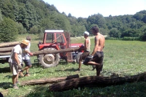 Ispunite upitnik: Mladi u ruralnim sredinama!