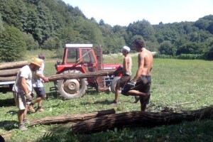 Ispunite upitnik: Mladi u ruralnim sredinama!