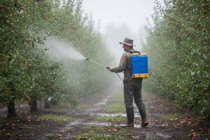 Radovi u voćnjaku prije i poslije kiše