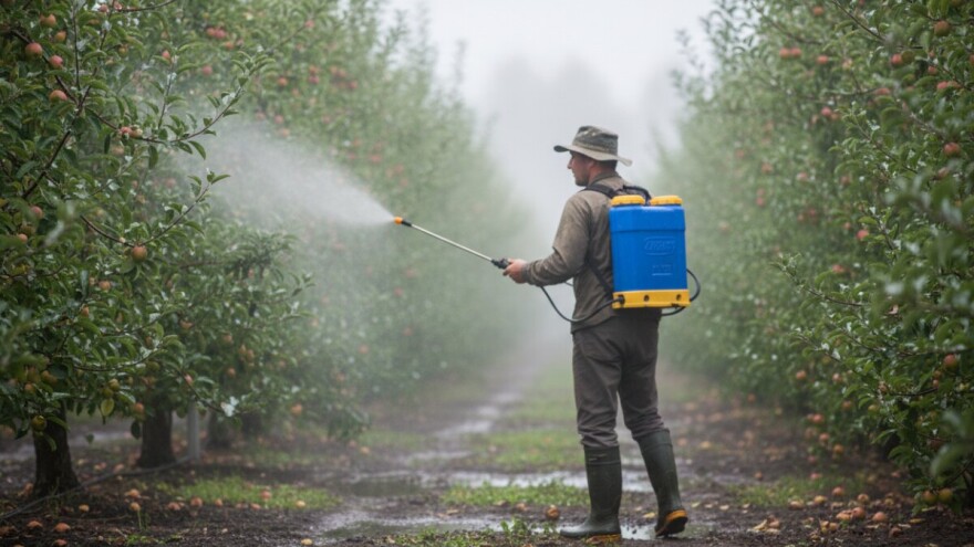 Radovi u voćnjaku prije i poslije kiše