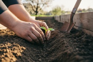 Radovi u vrtu tijekom ožujka