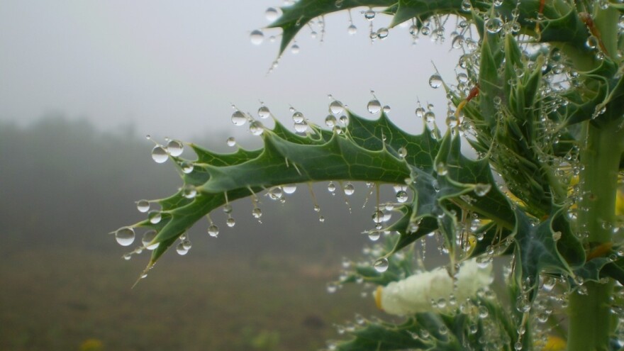 Odčepit će se nebo: U ponedjeljak nas čeka obilna kiša