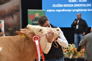 Krava Risa donijela je četvrtu šampionsku titulu OPG-u Rajaković