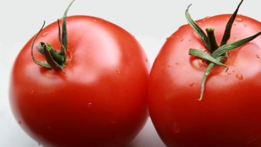 Ekološka proizvodnja u Hrvatskoj je nužno zlo