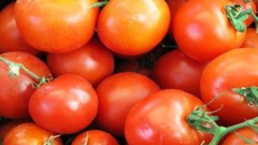 Mjere u zaštiti povrća