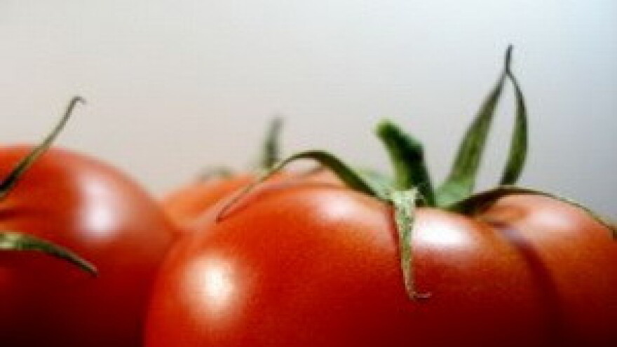 Proizvodnja zdrave hrane u Hrvatskoj