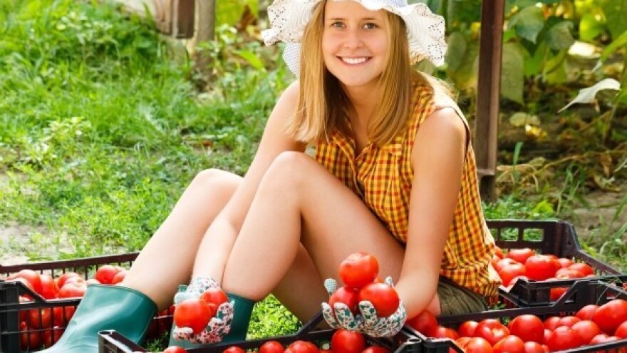 U Srbiji povrće zri preko noći!