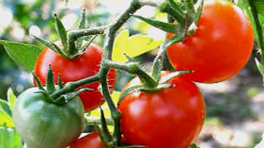 Poljoprivrednici odlaze na putovanja po Europi