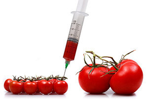 Peticija protiv primjene GMO-a u Hrvatskoj