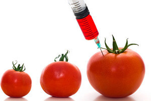 GMO proizvodi dopušteni na našim policama?