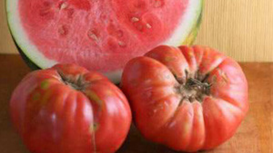 Uzgojio pomidor od 1,15 i anguriju od 19 kg