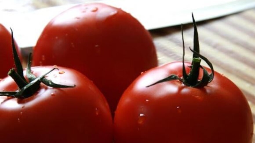 Uspješno završena 4. Konferencija o sigurnosti hrane